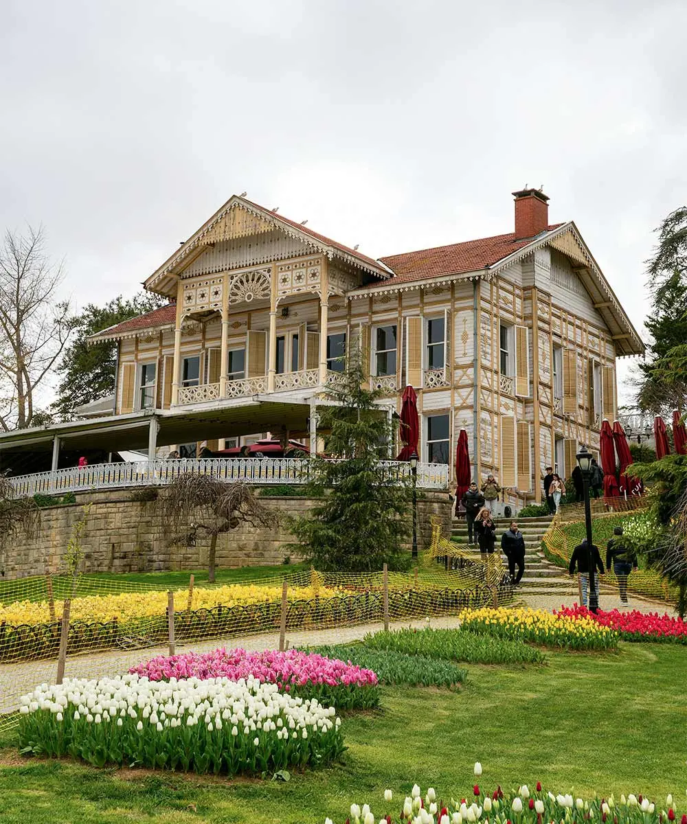 Emirgan Grove